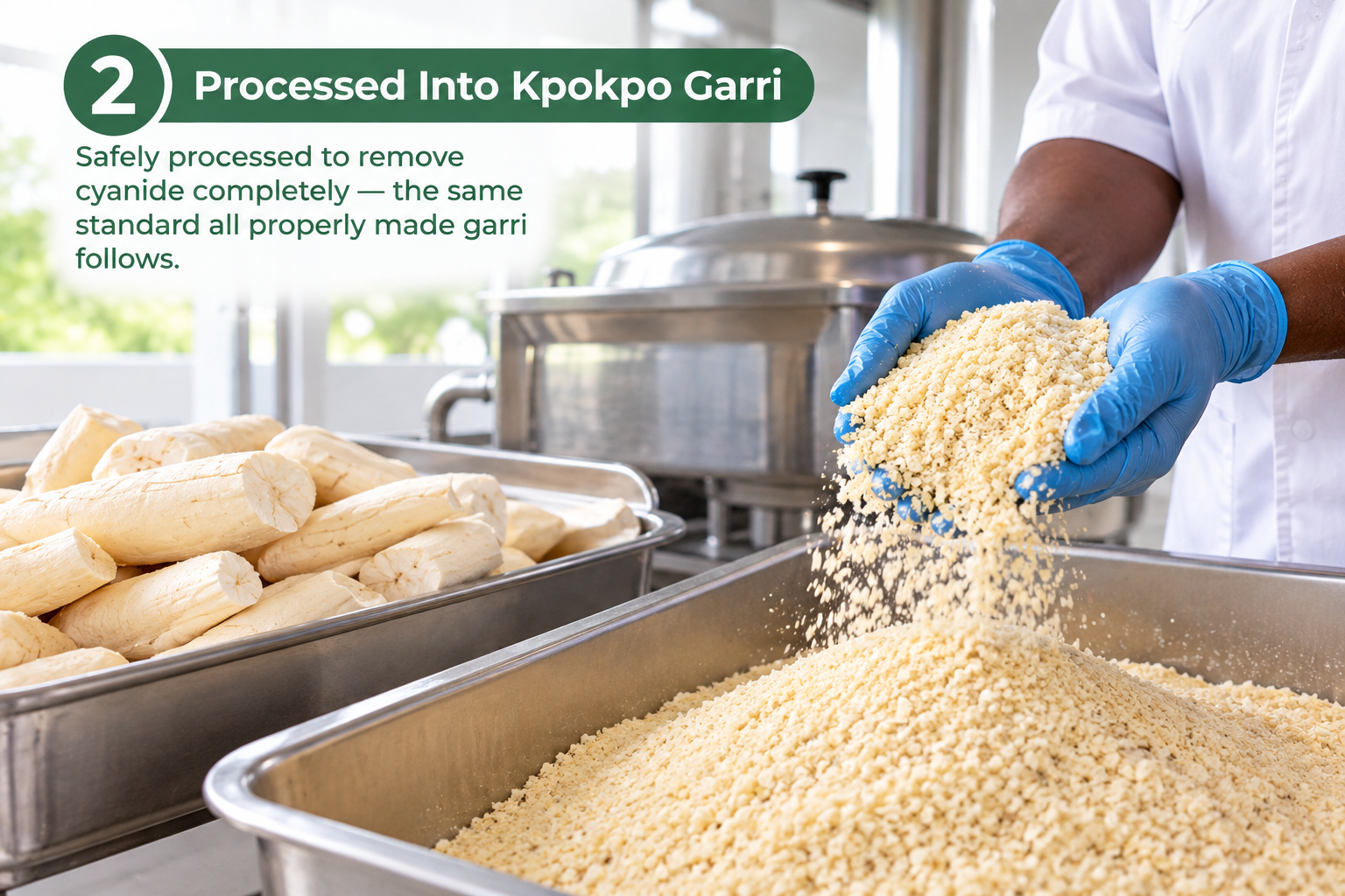 Processed Into Kpokpo Garri